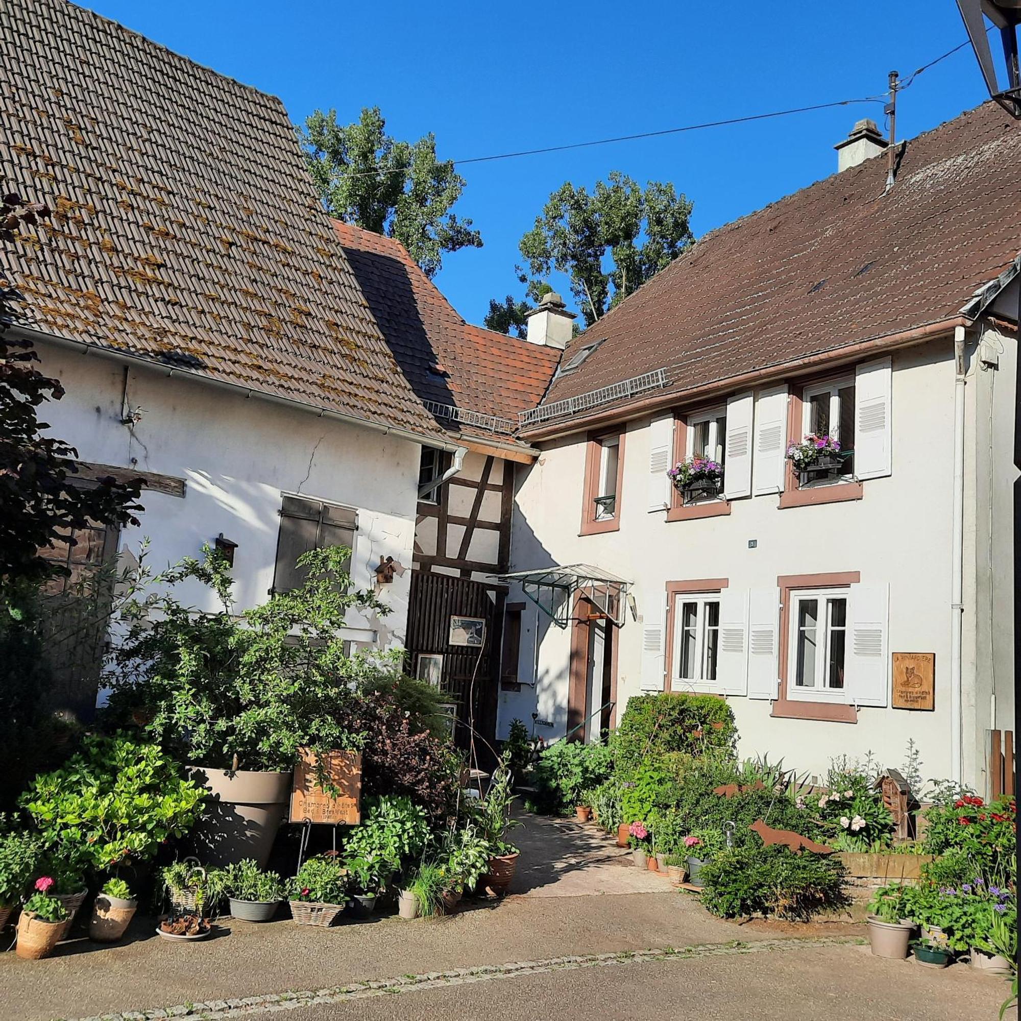 La Renardiere Reichshoffen Exterior foto